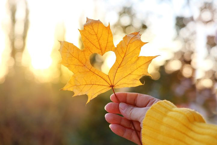 gratitude-banner