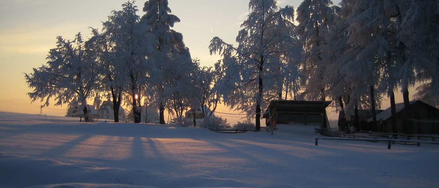 trapped in winter